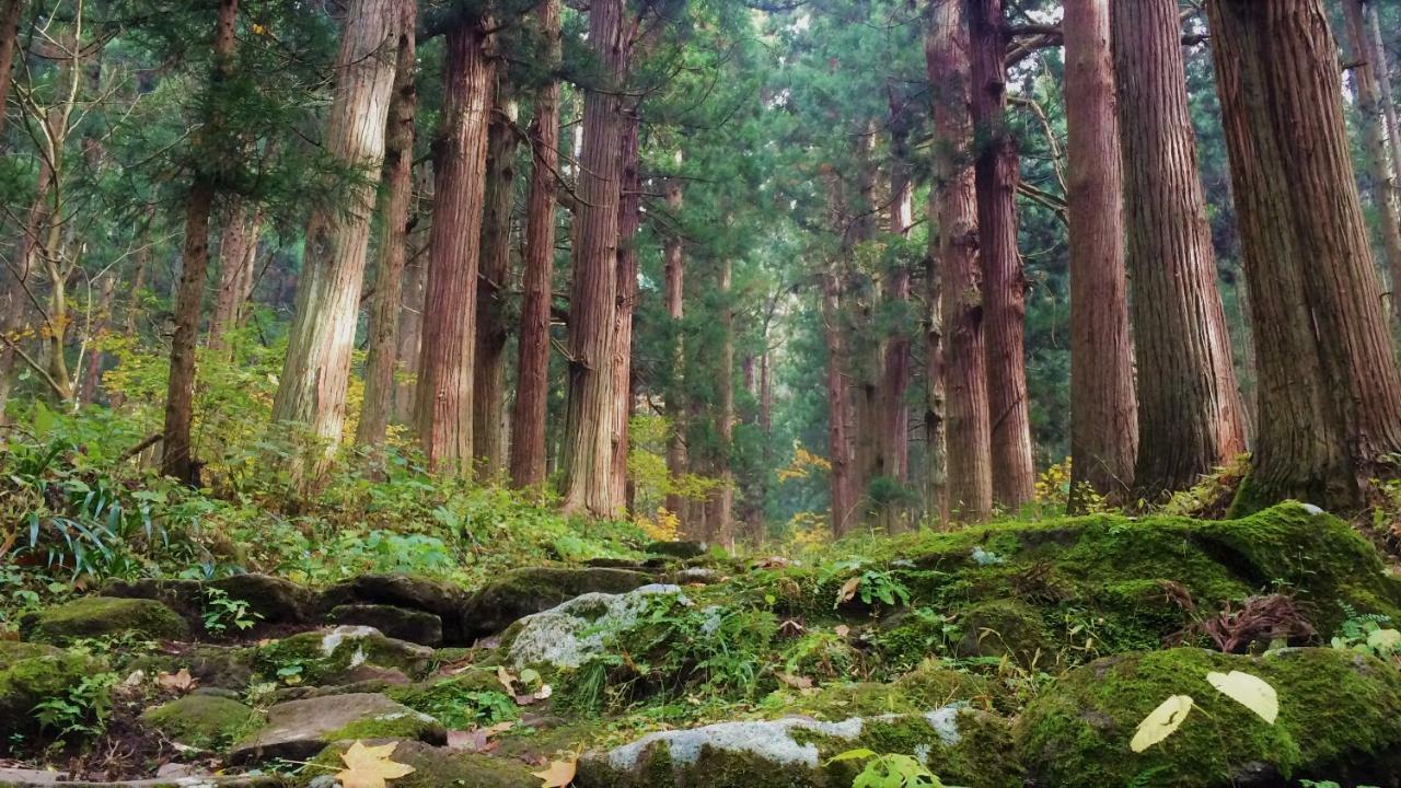 Blueberry Pension Madarao Iiyama Extérieur photo