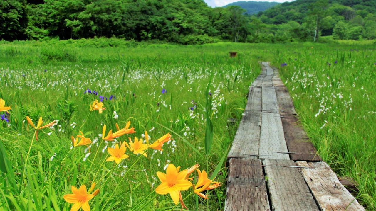 Blueberry Pension Madarao Iiyama Extérieur photo